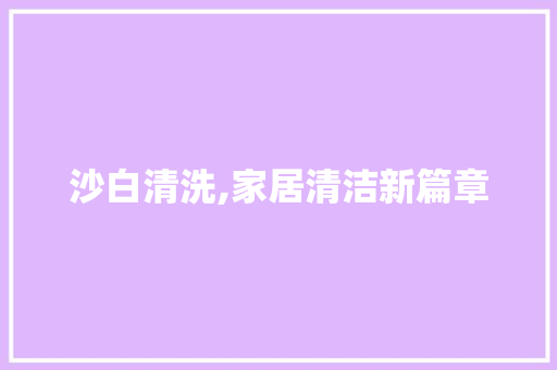 沙白清洗,家居清洁新篇章 操作系统