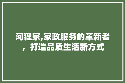 河狸家,家政服务的革新者，打造品质生活新方式 电脑配置