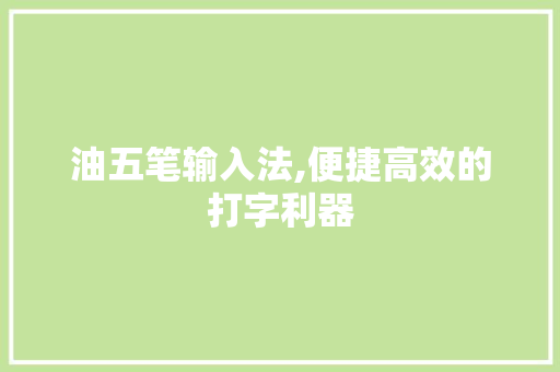 油五笔输入法,便捷高效的打字利器 电脑配置