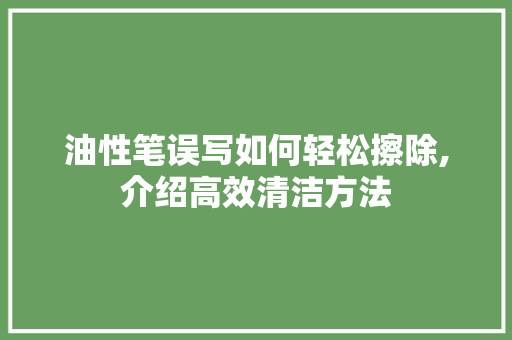 油性笔误写如何轻松擦除,介绍高效清洁方法 编程语言