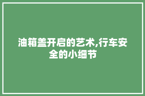 油箱盖开启的艺术,行车安全的小细节 电脑配置