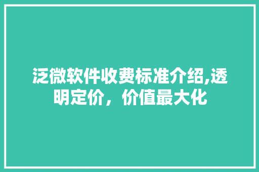 泛微软件收费标准介绍,透明定价，价值最大化 网络技术