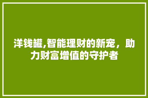 洋钱罐,智能理财的新宠，助力财富增值的守护者 操作系统