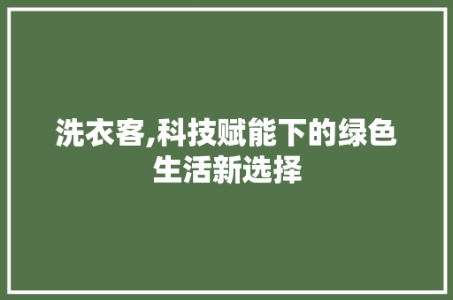 洗衣客,科技赋能下的绿色生活新选择 编程语言