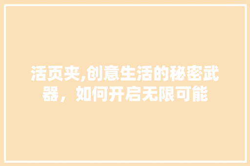活页夹,创意生活的秘密武器，如何开启无限可能 编程语言