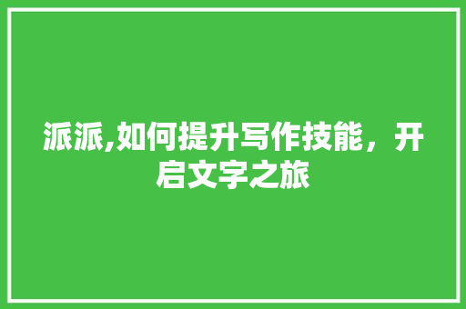 派派,如何提升写作技能，开启文字之旅 电脑配置