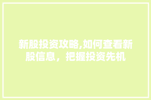 新股投资攻略,如何查看新股信息，把握投资先机