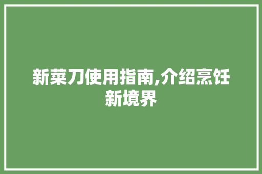 新菜刀使用指南,介绍烹饪新境界
