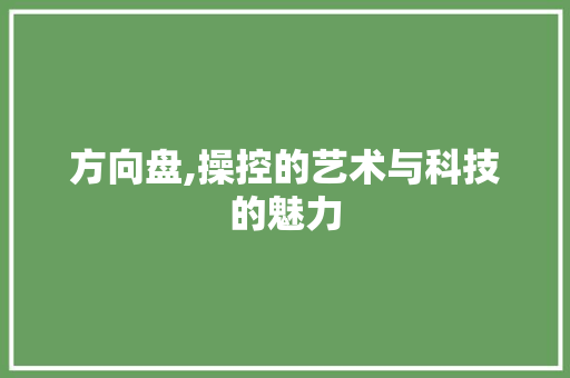 方向盘,操控的艺术与科技的魅力