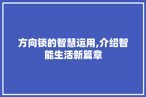 方向锁的智慧运用,介绍智能生活新篇章 方向锁的智慧运用,介绍智能生活新篇章