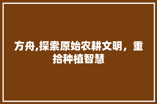 方舟,探索原始农耕文明,重拾种植智慧 方舟,探索原始农耕文明,重拾种植智慧