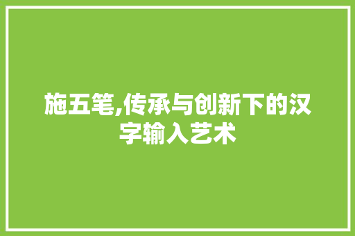 施五笔,传承与创新下的汉字输入艺术 施五笔,传承与创新下的汉字输入艺术