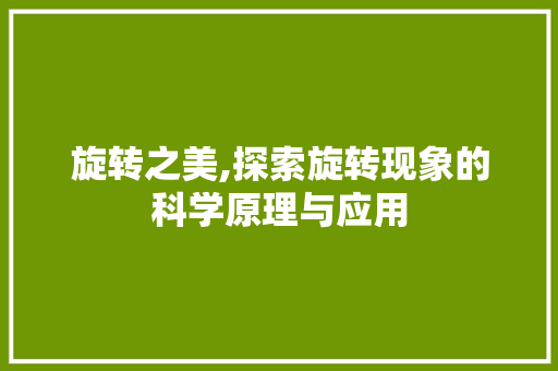 旋转之美,探索旋转现象的科学原理与应用 电脑配置