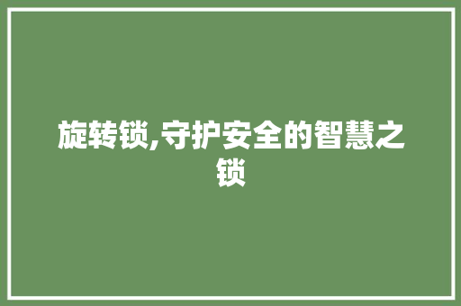 旋转锁,守护安全的智慧之锁