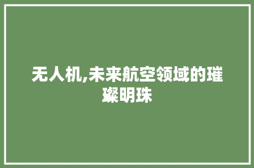 无人机,未来航空领域的璀璨明珠 无人机,未来航空领域的璀璨明珠