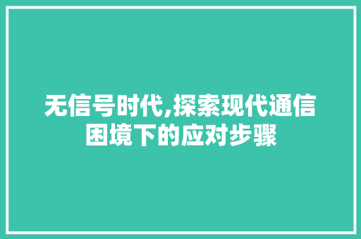 无信号时代,探索现代通信困境下的应对步骤