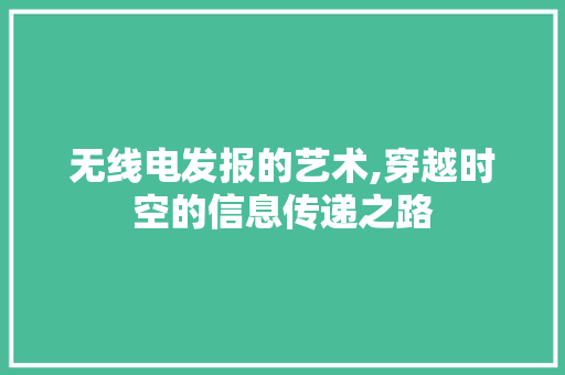 无线电发报的艺术,穿越时空的信息传递之路
