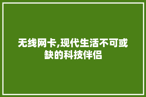 无线网卡,现代生活不可或缺的科技伴侣