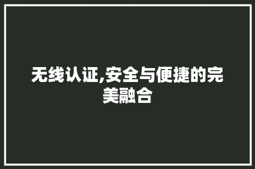无线认证,安全与便捷的完美融合