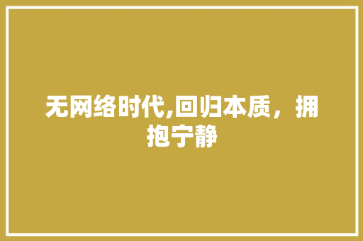 无网络时代,回归本质，拥抱宁静