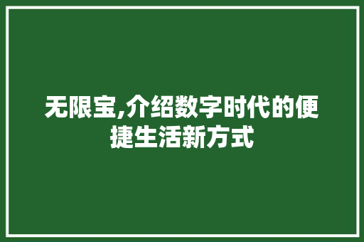 无限宝,介绍数字时代的便捷生活新方式