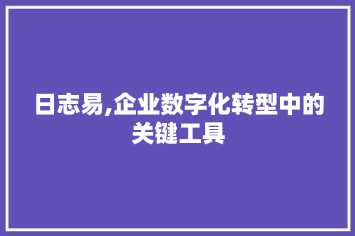 日志易,企业数字化转型中的关键工具