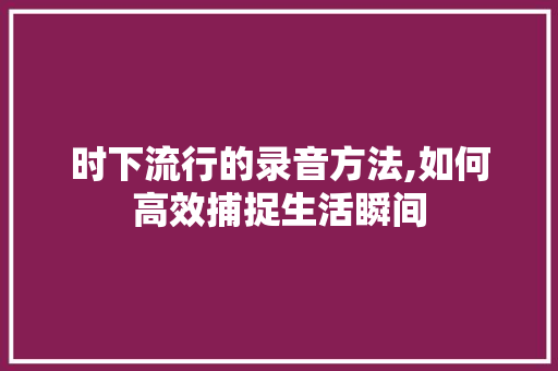 时下流行的录音方法,如何高效捕捉生活瞬间 时下流行的录音方法,如何高效捕捉生活瞬间