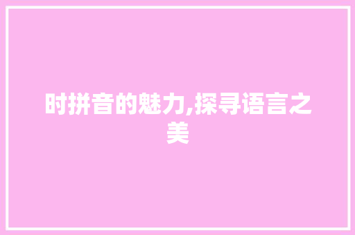 时拼音的魅力,探寻语言之美