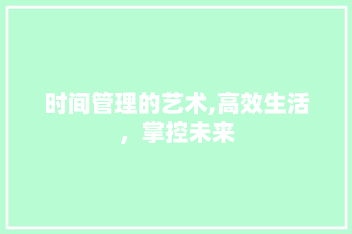 时间管理的艺术,高效生活，掌控未来