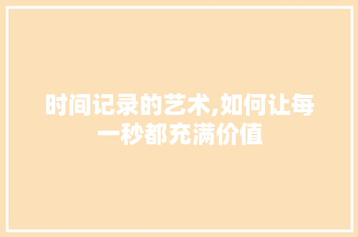 时间记录的艺术,如何让每一秒都充满价值