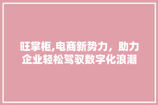 旺掌柜,电商新势力，助力企业轻松驾驭数字化浪潮