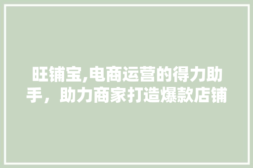 旺铺宝,电商运营的得力助手，助力商家打造爆款店铺