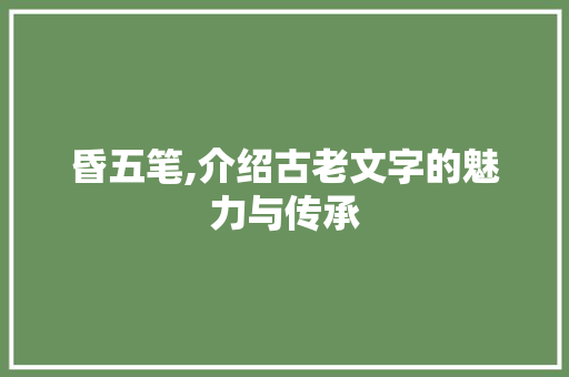 昏五笔,介绍古老文字的魅力与传承