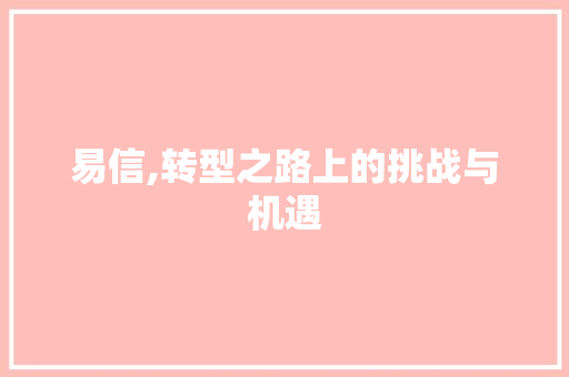易信,转型之路上的挑战与机遇