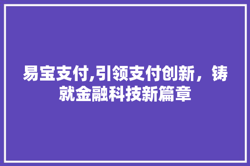 易宝支付,引领支付创新，铸就金融科技新篇章