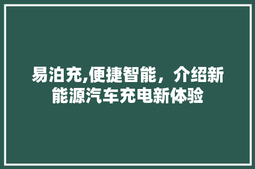 易泊充,便捷智能,介绍新能源汽车充电新体验 易泊充,便捷智能,介绍新能源汽车充电新体验