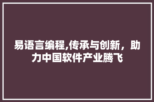 易语言编程,传承与创新，助力中国软件产业腾飞 网络技术