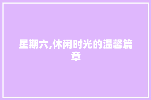 星期六,休闲时光的温馨篇章
