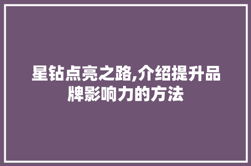 星钻点亮之路,介绍提升品牌影响力的方法