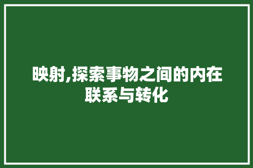 映射,探索事物之间的内在联系与转化