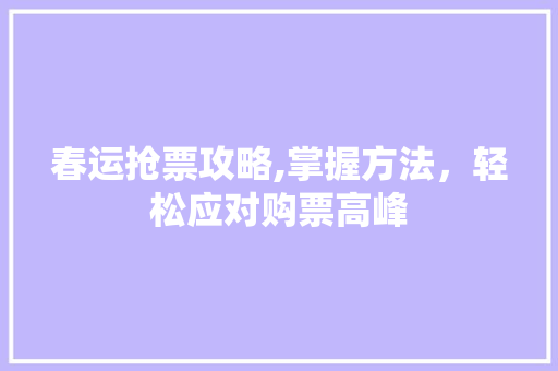 春运抢票攻略,掌握方法，轻松应对购票高峰