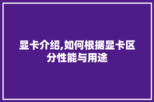 显卡介绍,如何根据显卡区分性能与用途