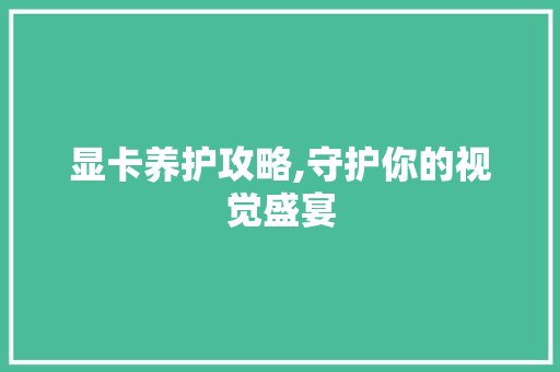 显卡养护攻略,守护你的视觉盛宴