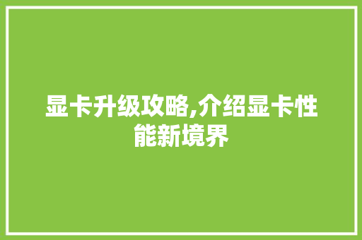 显卡升级攻略,介绍显卡性能新境界