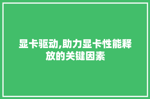 显卡驱动,助力显卡性能释放的关键因素
