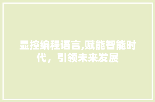 显控编程语言,赋能智能时代，引领未来发展