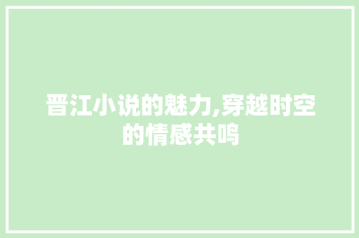 晋江小说的魅力,穿越时空的情感共鸣