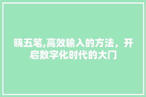 晓五笔,高效输入的方法，开启数字化时代的大门 网络技术