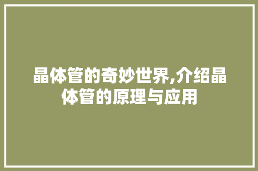 晶体管的奇妙世界,介绍晶体管的原理与应用