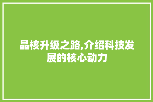 晶核升级之路,介绍科技发展的核心动力 晶核升级之路,介绍科技发展的核心动力